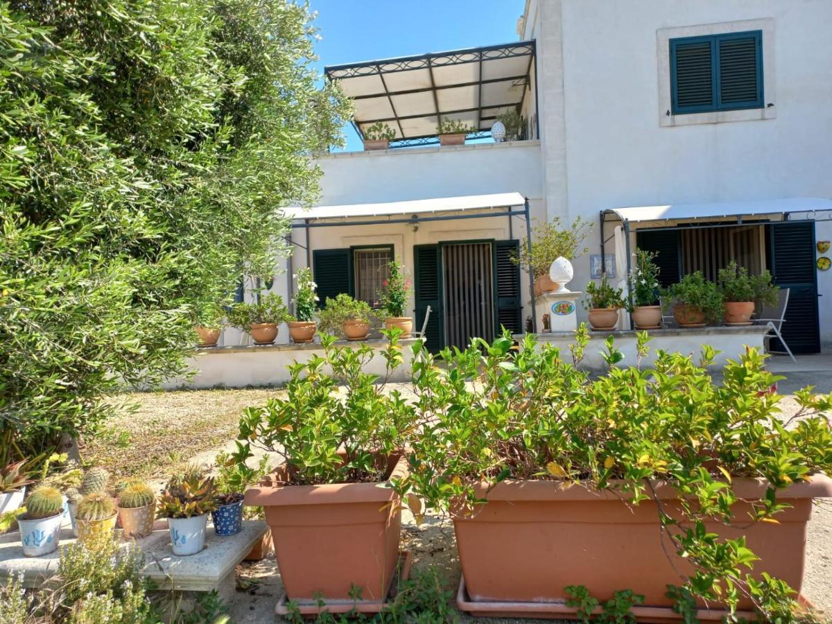 Il Fico D'india Dell'antico Orto Ostuni