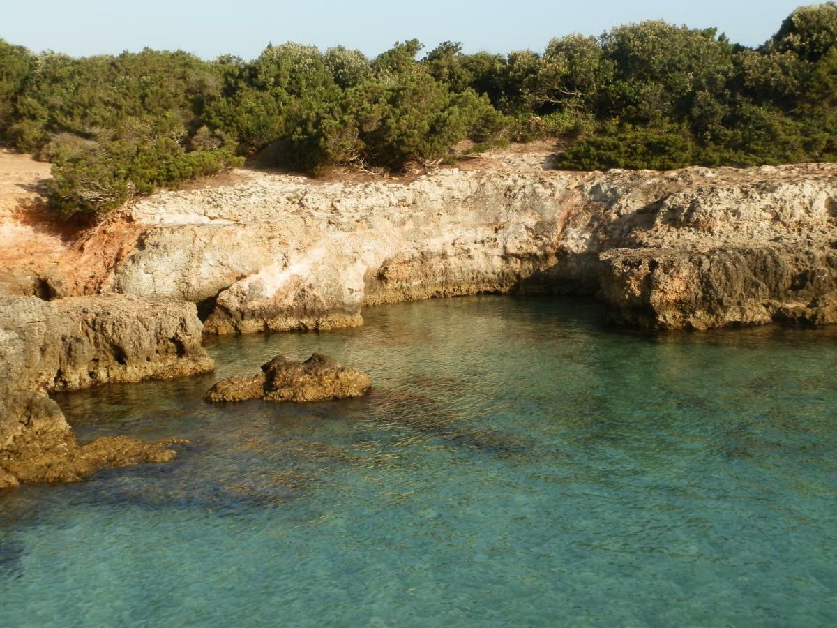 Holiday home Il Fico D'india Dell'antico Orto *